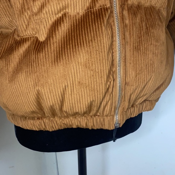 Jacket - Picture 5 of 11